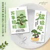 No te preocupes, relájate. Etiquetas colgantes de forma única para plantas verdes de oficina en interiores, decoraciones de pino en maceta, tarjetas colgantes, etiquetas pequeñas de plátano