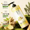 Shampoo Anti-Queda com Folha de Cipreste e Gengibre, Anticaspa e Controle de Oleosidade, Fórmula Tradicional Anti-Queda, Fortalecimento Capilar, Shampoo Volumoso, Refrescante e Macio