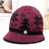 Gorro de punto de invierno para mujer, para madres de mediana edad y mayores, gorro cálido con forro de polar, gorro grueso con visera para clima frío