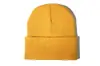 Gorro de Punto Transfronterizo Amazon Más Vendido Suministro Directo de Fábrica En Stock Panel de Luz Acrílico Versátil Europeo y Americano para Adultos Gorro Fluorescente para el Frío
