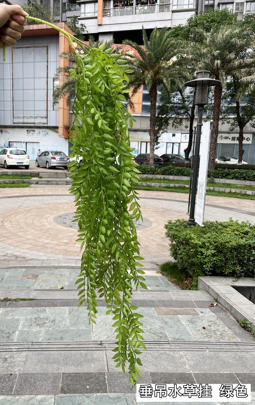 微信图片_20210503134234.jpg