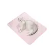 Esterilla de seda helada de verano para mascotas transfronteriza, colchoneta refrescante para dormir, cojín de sofá para gatos, alfombrilla de suelo, almohadilla de hielo para perros, alfombrilla para mascotas de primavera y verano