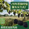 Nylon preto de alta resistência que bloqueia pássaros Rede de bloqueio de aves Rede de proteção de uvas de pomar rede de lagoa de aquicultura agrícola