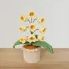 Venta Caliente Transfronteriza Flor de Lana Tejida a Mano con Orquídea Suzuki Simulada Adornos de Decoración para Escritorio del Hogar, Dormitorio