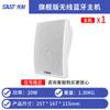 Altavoz inalámbrico Xianke con Bluetooth para montar en la pared, para el hogar, la sala de estar, el techo, el subwoofer, sonido envolvente, música de fondo, tienda de comida