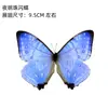 Venta Directa al Por Mayor de Fábrica de Especímenes Reales de Mariposas con Alas Extendidas, Diversos Insectos y Escarabajos, Accesorios para Fotos, Educación Científica, Especímenes Naturales