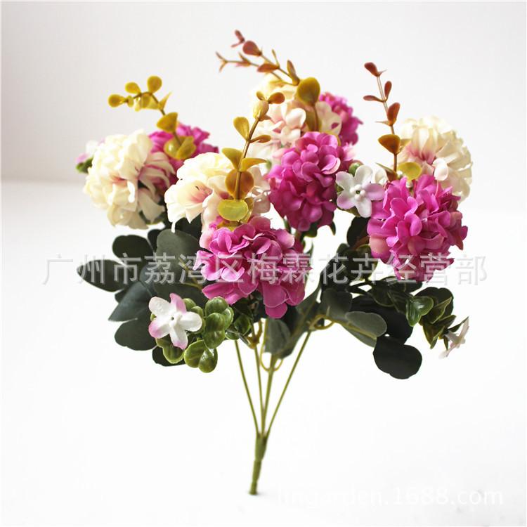 新小圆球花 750