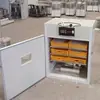 Incubadora Mecânica Totalmente Automática para Frangos, Patos, Gansos, Pombos, Codornas e Caixas de Pássaros, Venda Direta do Fabricante