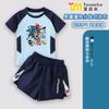 Maiô Infantil do Sonic the Hedgehog para Meninos, Traje Profissional de Natação de Duas Peças, Conjunto de Maiô Secagem Rápida Tendência