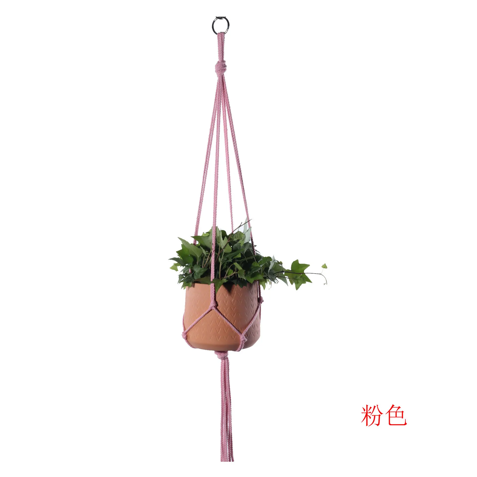 未标粉色题-2