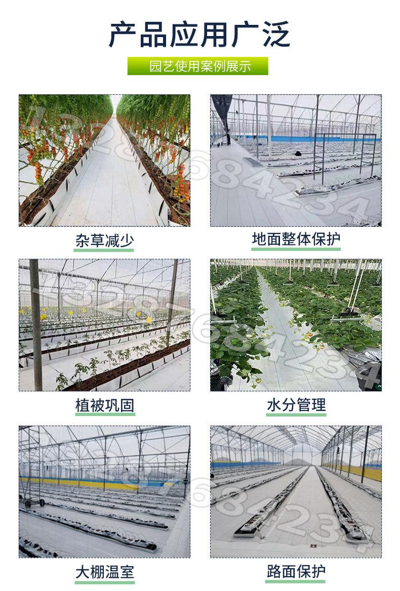 白色防草布_06