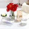 Vaso de Vidro Criativo Nórdico Estilo Ins Gradiente Colorido Garrafa de Vidro Decoração de Casa Luxo Leve de Alta Qualidade Flor Hidroponia Cultura em Água
