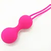 Yg-S002 Juego Completo de Mancuernas Vaginales de Silicona para Mujeres para Ejercitar las Partes Íntimas, Juego de Tres Piezas de Bolas Inteligentes