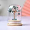 Árvore de Cristal Natural, Flor Eterna, Enfeites de Mesa, Árvore de Dinheiro de Cristal, Garrafa dos Desejos, Árvore de Dinheiro, Artesanato de Cristal Atacado