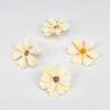 Flor Simulação 4cm Flor Língua de Estrela Decoração Parede de Flores Casamento Adereços para Fotos DIY Feito à Mão Flor Artificial Conjunto de Casamento