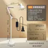 Lámpara de pie para dormitorio y estudio estilo nórdico con control remoto, cuidadosamente seleccionada, Lámpara de pie LED de brazo largo tipo pesca, Lámpara de pie para escritorio con proyección