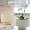 Macetas de Cerámica con Platos para Uso Doméstico al por Mayor, Macetas para Suculentas de Estilo Ins Simple Lujo Ligero Estilo Crema, Disponible para Dropshipping