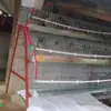 Gaiola de Armazenamento de Ovos Gaiola de Fazenda para Galinhas Poedeiras Gaiola de Frango Escada Equipamento de Avicultura Conjunto Completo de Gaiola Portátil para Galinhas Poedeiras