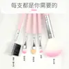 Ashariya Paquete de Cinco Pinceles Rosas Pincel para Sombras de Ojos Pincel de Maquillaje Pincel para Cejas Pincel para Rubor Set Portátil Maquillaje de Belleza