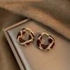 Outono e inverno vintage Maillard Tiger Eye Stone Ear Buckle Fashion Light Luxury High-end Sense Brincos 2024 Novos brincos quentes para mulheres