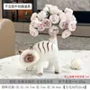 Vaso de Gato Siamês Fofo Atacado Figura de Gato Arranjo de Flores para Sala de Estar Decoração Cerâmica de Luxo Leve Design de Nicho