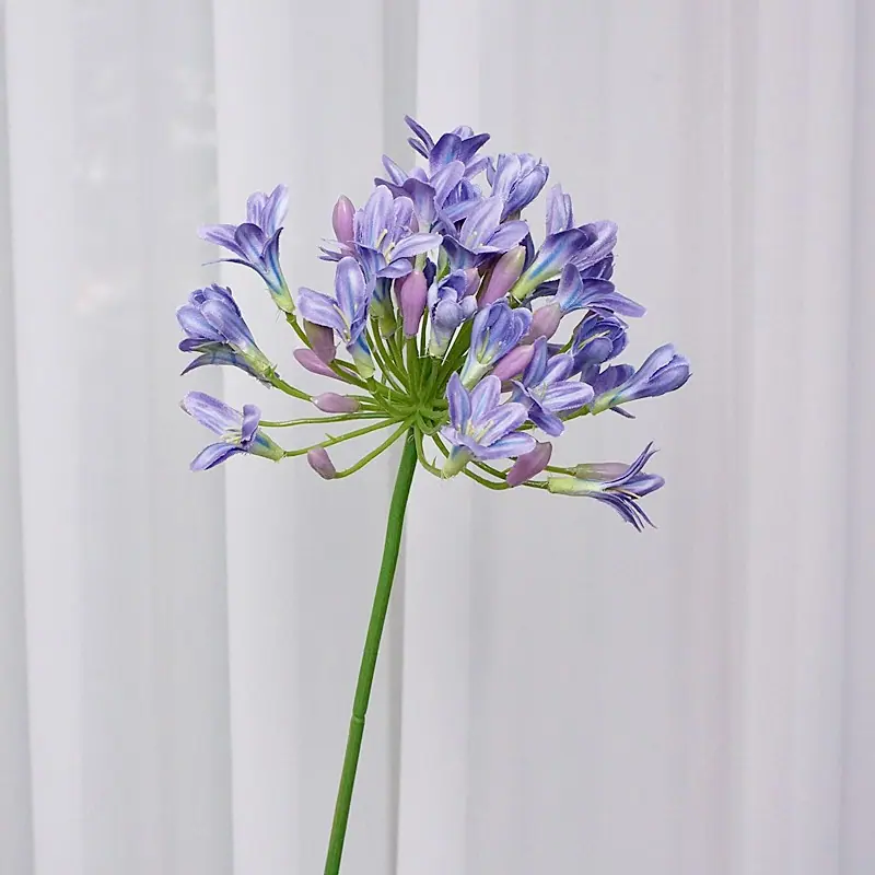 DSC08700.JPG