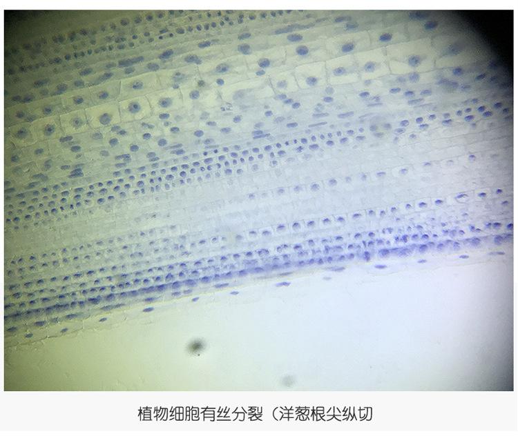 详情页17