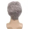 Comercio exterior peluca europea y americana para hombre guapo esponjosa pelo corto peluca gris fibra química gorro al por mayor pelucas de hombre