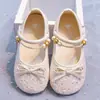 Zapatos de Princesa para Niñas con Lazo, Dulce Nuevo Estilo Otoño 2026, Zapatos Casuales para Niñas Pequeñas, Zapatos Bajos de Cuero Pequeños para Niños Mayores, Modernos
