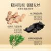Zhao Benshan Respalda Champú Anticaída Extracto de Planta de Jengibre Champú Hoja de Tuya Nutritivo y Fortificante para el Cabello