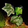 Nomo Varios Tipos de Hojas Decorativas para Paisajismo Plantas Artificiales Lagarto Camaleón Serpiente Mascota Trepadora Alimentación Agua Hojas con Ventosas