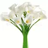 Amazon Lírio-do-calla Branco Mini Lírio-do-calla Interno Casa Enfeite Engarrafado Casamento Festival Decoração Flor