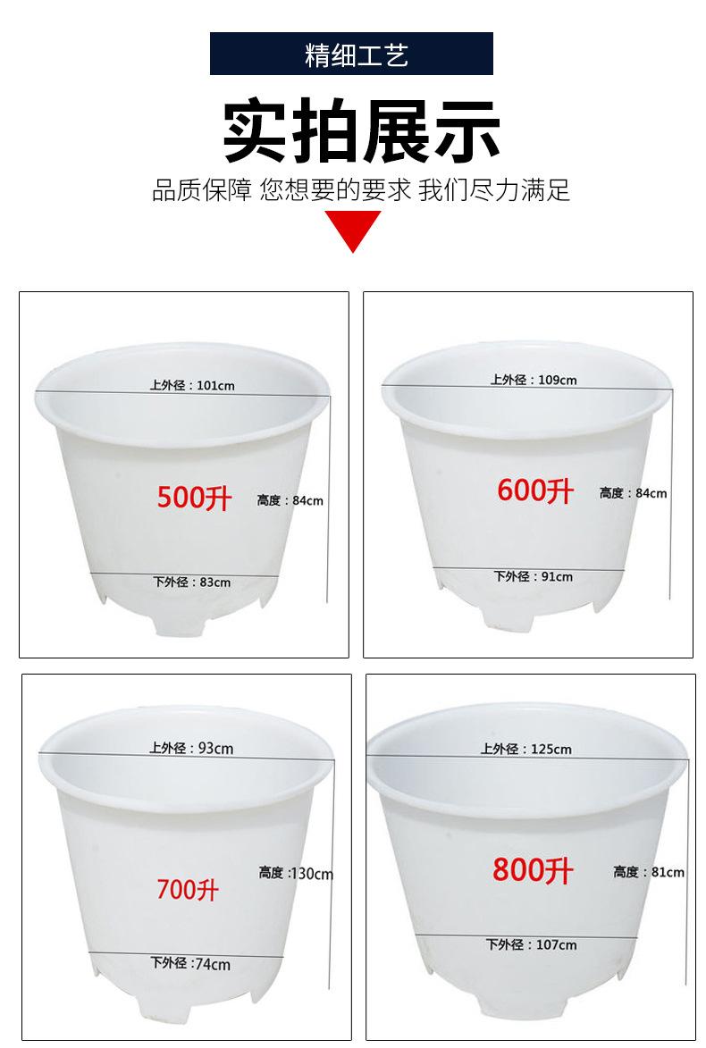 叉车_11.jpg