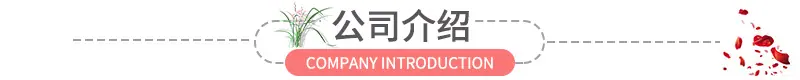 公司介绍