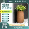 Macetas de Óxido de Magnesio de Gran Diámetro Estilo Simple para Plantas de Interior y Exterior, Personalizables en Tamaño y Color