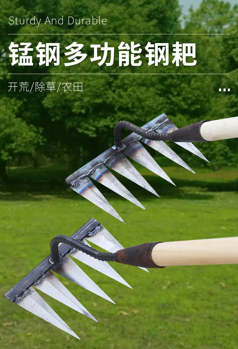 详情_01.jpg
