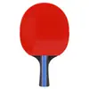 Raquete de Tênis de Mesa Raquete Dupla Crianças Adulto Treinamento Profissional Competição Pegada Shakehand Pegada Penhold Madeira de Choupo Borracha Dupla Face com Pinus Cabo