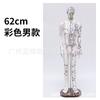 Modelo do Corpo Humano com Pontos de Acupuntura, Diagrama dos Doze Meridianos da Medicina Tradicional Chinesa do Corpo Inteiro, Modelo de Manequim de Cobre para Prática de Acupuntura, Pequeno Manequim de Pele