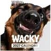 Calendário de Mesa Cachorro Cabeçudo Engraçado 2027, Calendário Espiral Divertido de Animal de Estimação Fofo, Fornecimento Atacadista com Logo Cruzado Amazon Temu