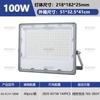 Venta directa de fábrica de reflectores LED de comercio exterior transfronterizos, lente 10W300W brillante, impermeable, IP65, reflector para exteriores