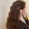 Pasador de Leopardo Estilo Coreano para Mujer, Pinza Lateral para Flequillo, Nuevo Modelo 2026, Accesorio para el Cabello Versátil de Alta Gama