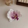 Novo estilo de desejo puro grampo de cabelo orquídea borboleta grampo lateral adorno de cabeça flor flor de simulação clipe bico de pato adorno de cabeça acessórios de cabelo de noiva