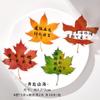 Folhas Marcadores Estilo Chinês Clássico Papelaria Atividades de Recompensa para Alunos do Ensino Fundamental e Médio no Exame de Admissão do Ensino Médio Pequenos Presentes Livretos Inspiradores Criativos