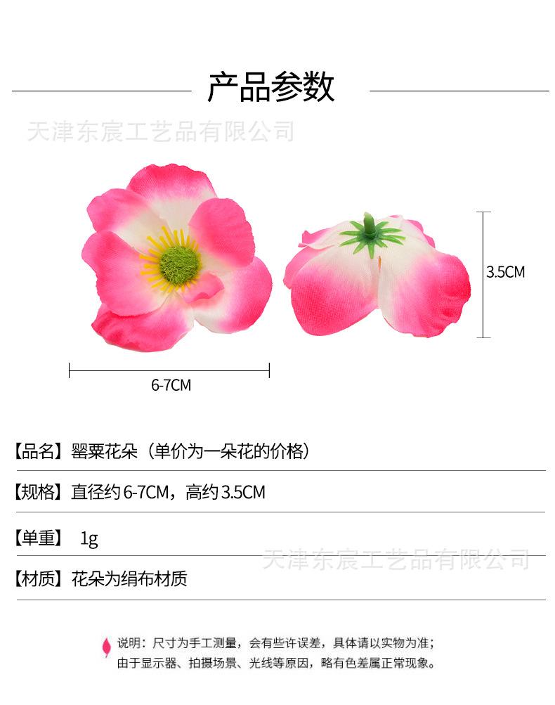 详情_01.jpg