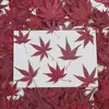 Decoración de Pastel de Hoja de Arce para el Festival de Mediados de Otoño 2026 Pastel de Luna Conejito Velas Nubes Propicias Feliz Festival de Mediados de Otoño Inserto para Plato Redondo