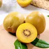 Kiwi Beleza Dourada de Pujiang, Sichuan - disponível para dropshipping em embalagens de 6/10/15/20/24/30 unidades; fruta de kiwi fresca, com polpa amarela