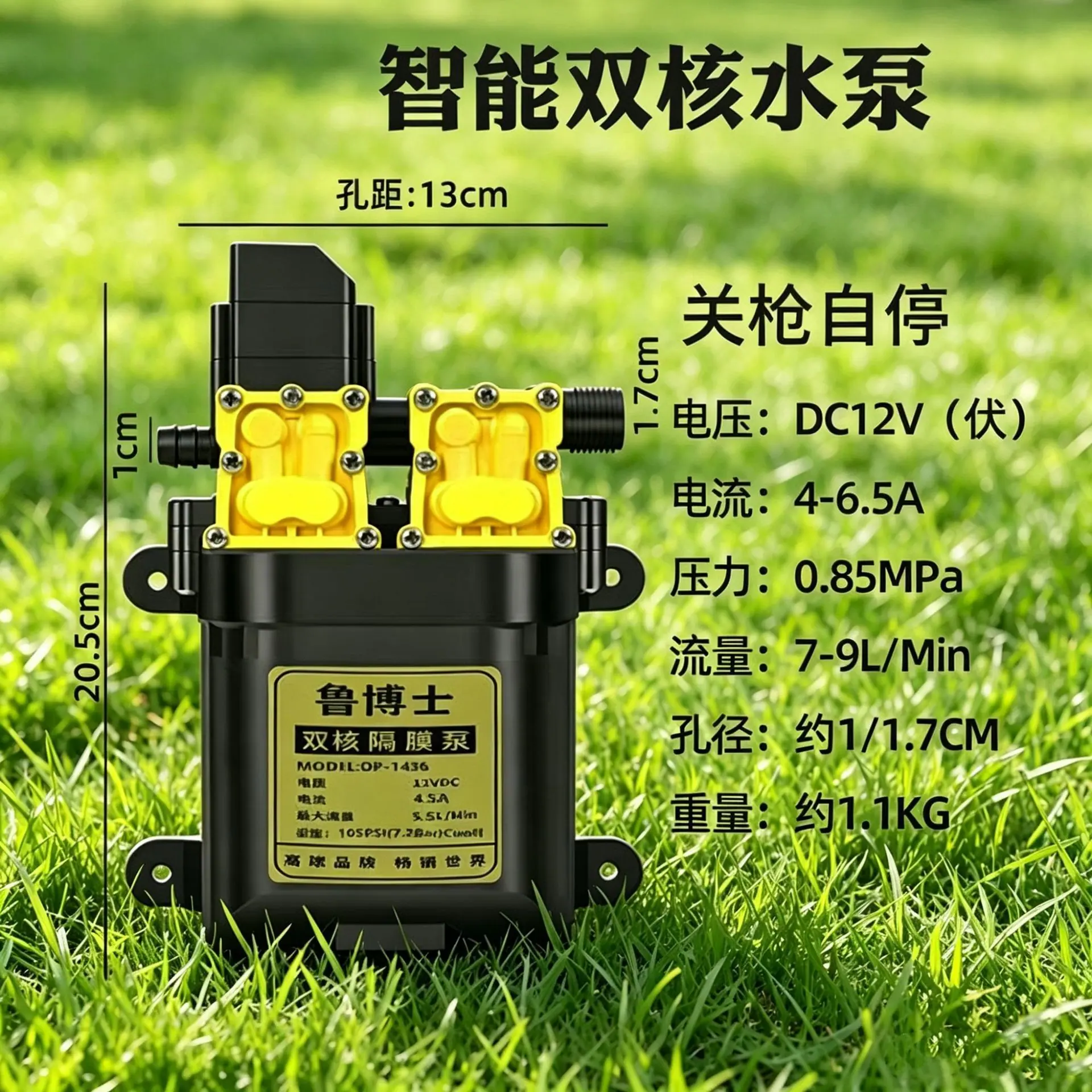 微信图片_20260607183350_755_3