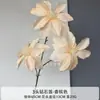 Flores Artificiales Color Champán para Bodas al Aire Libre, Decoraciones de Fondo de Boda, Adornos para Sala de Estar en Casa, de Alta Gama y Realistas