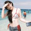 Bikini de Estilo Coreano Nuevo Transfronterizo Chica Popular Ins Aro de Acero Fruncido Tres Piezas Estampado Chica Linda Traje de Baño Dividido