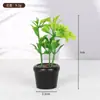 Acessórios para casa de bonecas 1:12 Miniaturas de Comida Brinquedo Modelo de Carro Enfeites Mini Plantas Verdes Artificiais Enfeites de Vasos